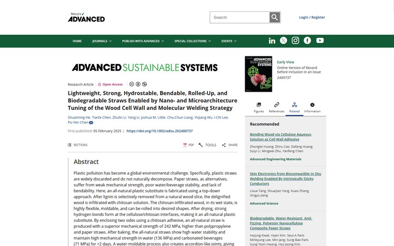 Lightweight, strong, hydrostable, bendable, rolled-up, and biodegradable straws